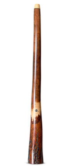 Wix Stix Didgeridoo (WS440)